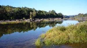 Umpqua River from Elkton